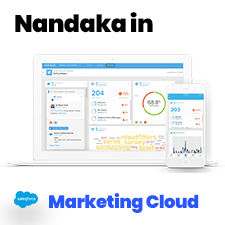 Nandaka in Salesforce Marketing Cloud